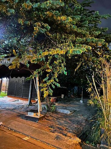 Hình ảnh BDS HUNGVILAND [NC] Cho Thuê Đất Trống P. An Phú Q2 10tr 22/02/2023
