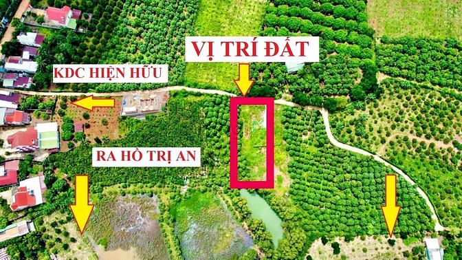 Hình ảnh Mua 1 được 2: 1000m2 CLN + 100m2 thổ cư giá rẻ hơn 250tr