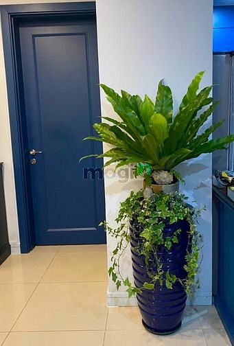 Hình ảnh Cần bán gấp Trang Chủ MB66.COM / Đăng Ký Tặng 66K THE MANOR 113m2,2pn,2wc full nội thất
