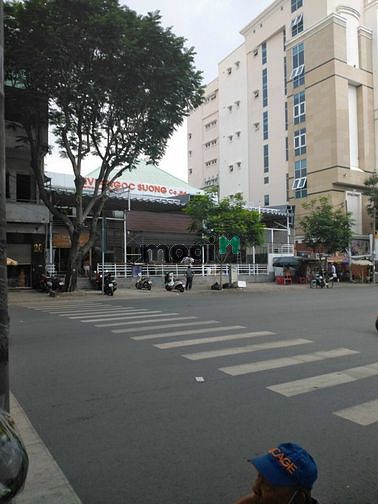 Hình ảnh Biệt thự 800m2 MT Điện Biên Phủ Q1