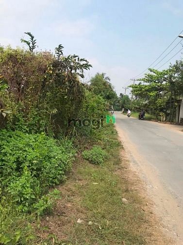 Hình ảnh Đầu tư sinh lời với đất quận 9 giá mềm! Mua ngay