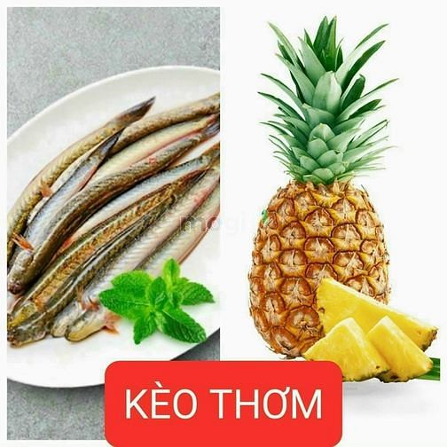 Hình ảnh Bán đất Linh Xuân, Thủ Đức, 62m2 , giá chỉ 2.450 ty, 300m ra QL1K.
