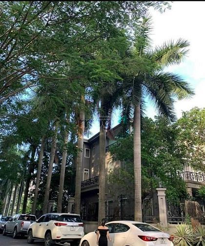 Hình ảnh Mở bán đất nền khu đô thị cao cấp Mizuki Park, Bình Hưng, Bình Chánh