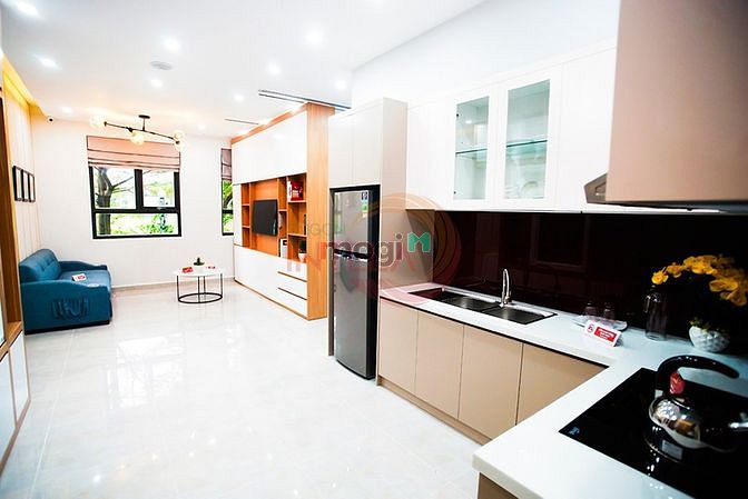 Hình ảnh Cho thuê nhà chung cư quận bình chánh