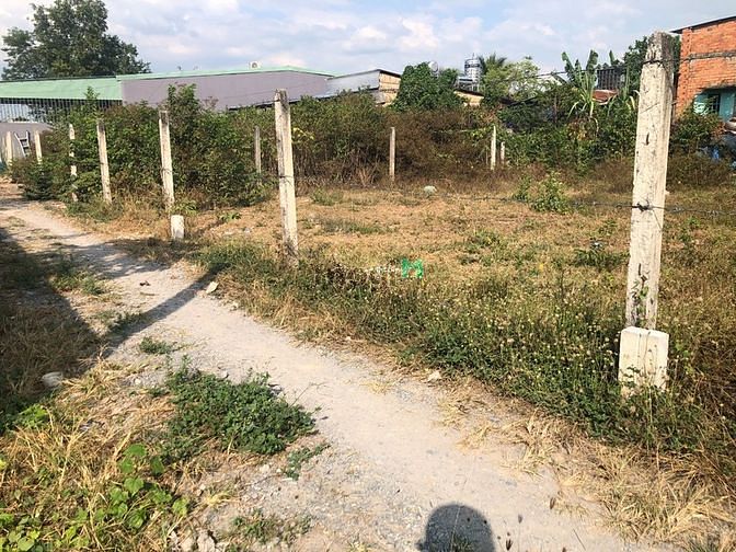 Hình ảnh Đất Thổ Cư Gần Bệnh Viện Xuyên Á Gò Dầu, Dân Cư Đông