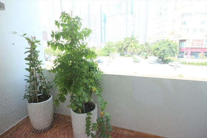 Hình ảnh 🌼🌼Căn Hộ Cao Cấp_CỬA SỔ & BAN CÔNG_gần Công Viên Vinhome
