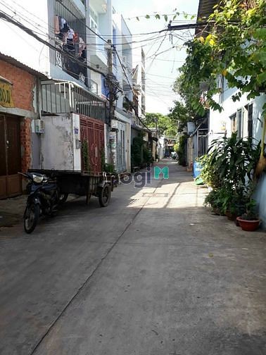 Hình ảnh Bán nhà hẻm 1/Bờ Bao Tân Thắng 8x20