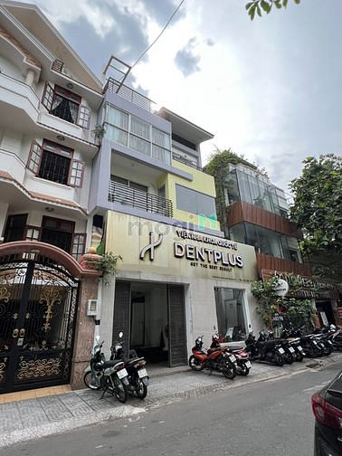 Hình ảnh Cho Thuê MT Đường Hoa - Khu Phan Xích Long 8x16m