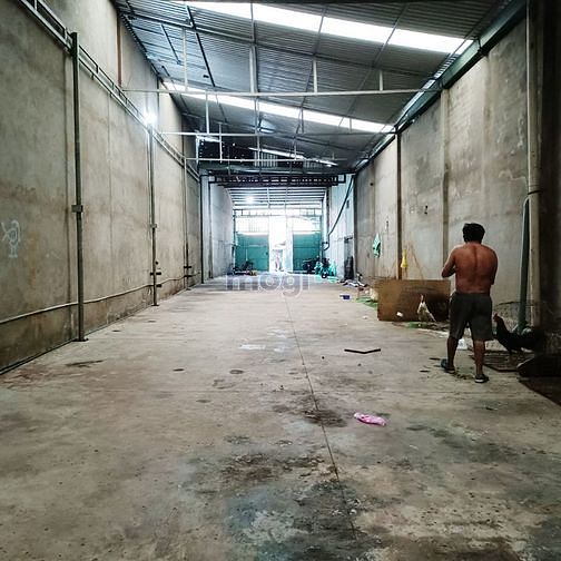 Hình ảnh Cho thuê kho Lê Đình Cẩn Binh Tân 6,5x45m giá 20tr