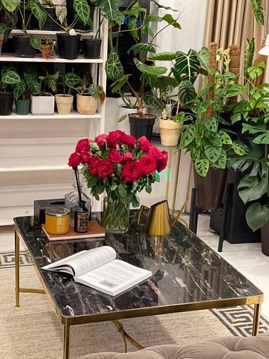 Hình ảnh Cần ra nhanh Trang Chủ MB66.COM / Đăng Ký Tặng 66K cao cấp Green River Q8 76m2 2pn giá 1 tỷ 490