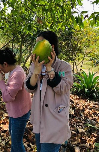 Hình ảnh bán đất tặng luôn nhà cấp 4, điện nước đầy đủ.