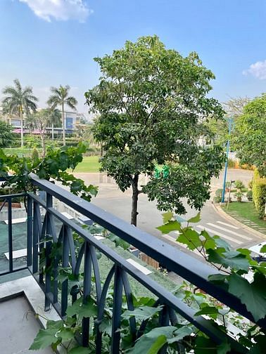 Hình ảnh Cho thuê nhà nguyên căn ở Phú Hữu, Quận 9
