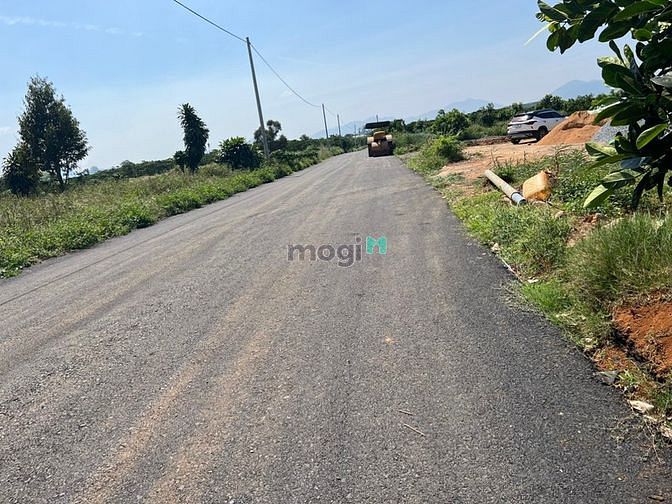 Hình ảnh 9.9 x 26.5m2 = 194m2, có 95m2 thổ cư. Giá 510tr, Tân Lạc, TP. Bảo Lộc