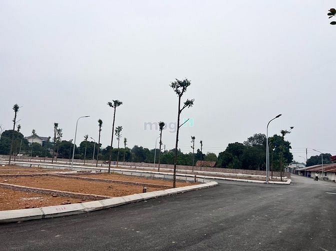 Hình ảnh Bán đất thôn Trại Láng, Xã Cổ Đông, Sơn Tây, HN