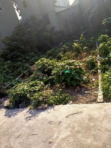 Hình ảnh Cần bán gấp lô đất đẹp 100m2, 2 mặt tiền, đường rộng 8m tại Phụng Châu