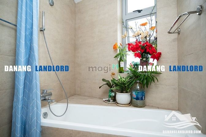 Hình ảnh Chung cư 2 phòng ngủ  Indochina Bạch Đằng - C212