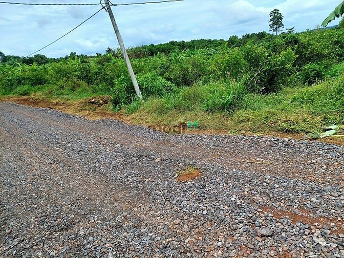 Hình ảnh vườn quýt Ngọc Định, view hồ Trị An.