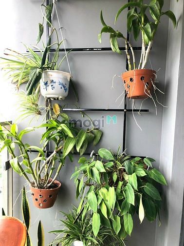 Hình ảnh cho thuê căn hộ chung cư Q2, 1pn, full đẹp y hình, One Veranda