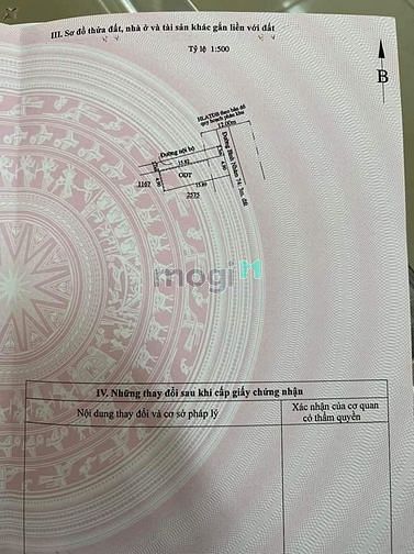 Hình ảnh Đất bình nhâm sổ riêng giá rẻ - ĐƯỜNG XE TẢI
