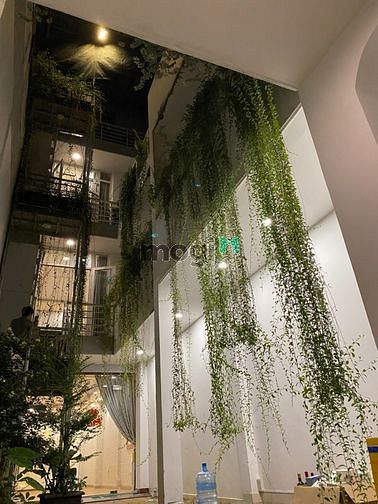 Hình ảnh Căn Hộ 1 phòng ngủ, View siêu chill, ban công cây xanh