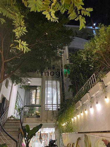 Hình ảnh Căn Hộ 1 phòng ngủ, View siêu chill, ban công cây xanh