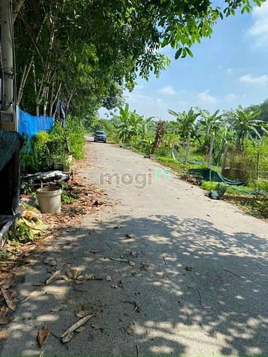 Hình ảnh Bán Đất xã Nhuận Đức DT 705m2 ( Có 300m Thổ Cư )