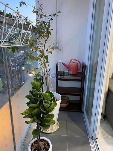 Hình ảnh SALE SỐC Mb6623 nạp rút nhanh chóng Carillon 3 Tân Bình 2tỷ020 65m2 2pn