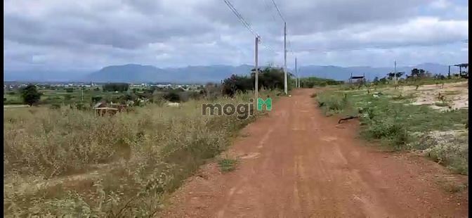 Hình ảnh Chỉ 267tr có 2177m2 đất vườn xã sông luỹ, bắc bình cách QL1A 2km