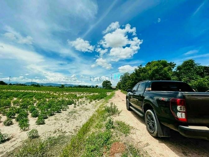 Hình ảnh Bán 2180m2 chỉ 265 triệu không phát sinh thêm chi phí, SHR, gần QL1A