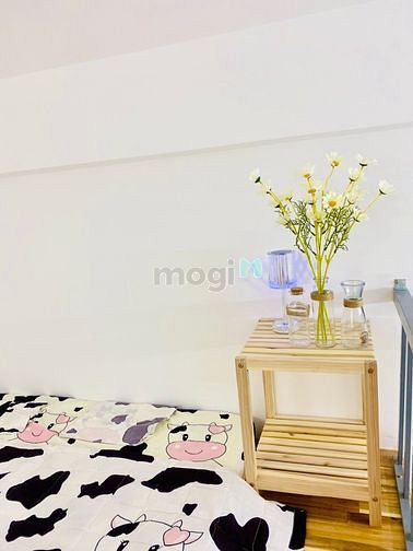 Hình ảnh CHDV Dương Quảng Hàm, full nội thất, có gác, an ninh, view thoáng mát