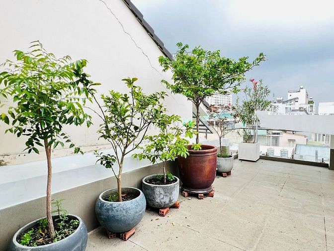 Hình ảnh Biệt Thư duy nhất Khu Lam Sơn, Bình Thạnh còn bán