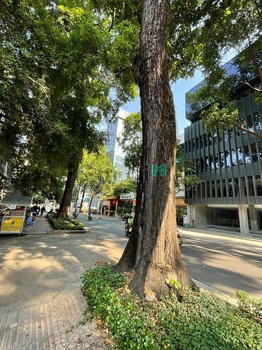Hình ảnh Cho thuê nhà GÓC 2MT 24-26 Phạm Ngọc Thạch, Phường 6, Quận 3