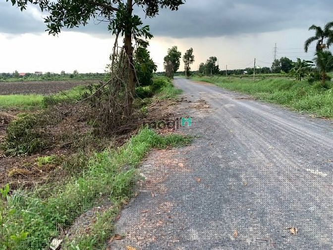 Hình ảnh Bình Chánh, Vườn Thơm, Bán 2hA Đất Kênh 4, Chỉ 1.6tr