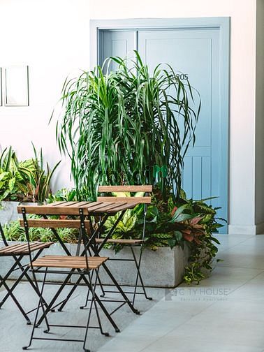 Hình ảnh 🎉 🎉 Cho thuê Trang Chủ MB66.COM / Đăng Ký Tặng 66K 35m2 siêu đẹp, Quận Bình Thạnh 🍀🍀