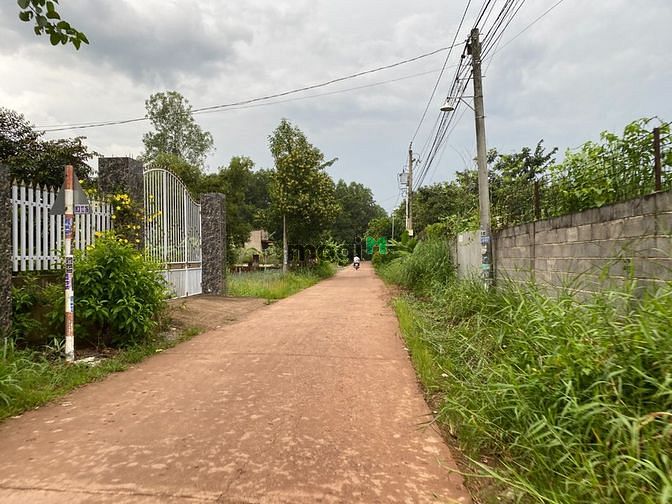 Hình ảnh Bán Đất Vườn Giáp Suối Cách TP Biên Hoà 20km