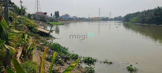 Hình ảnh BDS HÙNG VĨ LAND Cho thuê 2300m2 đất view sông Rạch Chiếc,TĐ 02/03/23