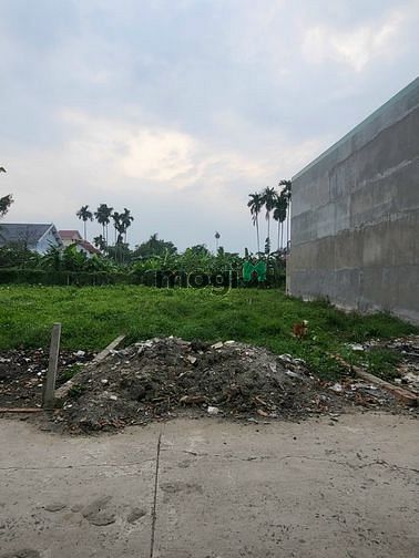 Hình ảnh Bán gấp lô đất đường Phạm Hùng xã Bình Hưng huyện Bình Chánh. Sổ riêng