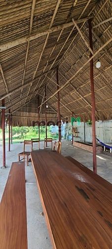 Hình ảnh BDS HÙNG VĨ LAND Cho thuê 2300m2 đất view sông Rạch Chiếc,TĐ 02/03/23