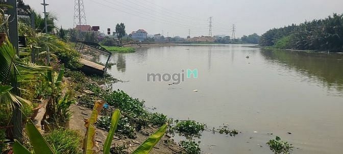 Hình ảnh BDS HÙNG VĨ LAND Cho thuê 2300m2 đất view sông Rạch Chiếc,TĐ 02/03/23