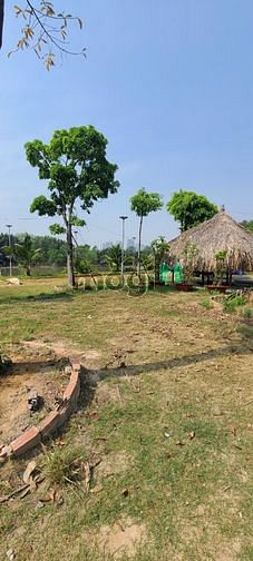 Hình ảnh BDS HÙNG VĨ LAND Cho thuê 2300m2 đất view sông Rạch Chiếc,TĐ 02/03/23