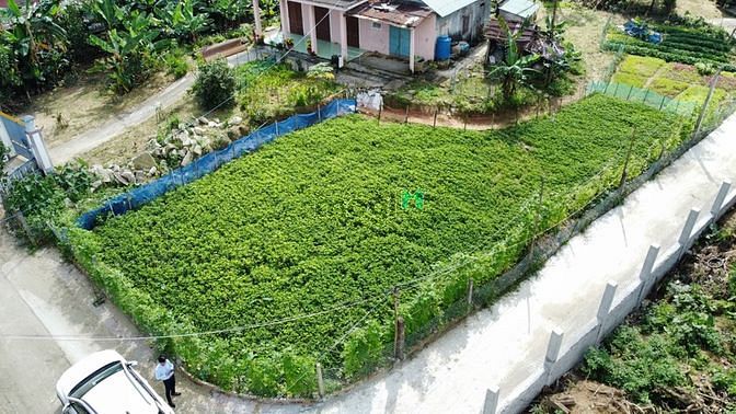 Hình ảnh Bán đất điện phương điện bàn quảng nam.