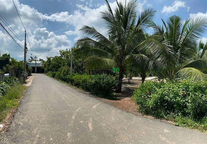 Hình ảnh 250m2 có thổ cư tại Tân Biên Tây Ninh. Đã có sổ hồng riêng.