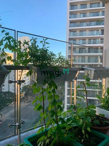 Hình ảnh Bán căn Riverpark Premier ngay trường SSIS