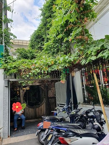 Hình ảnh Cho thuê biệt thự Phạm Ngọc Thạch Phường 6 Quận 3