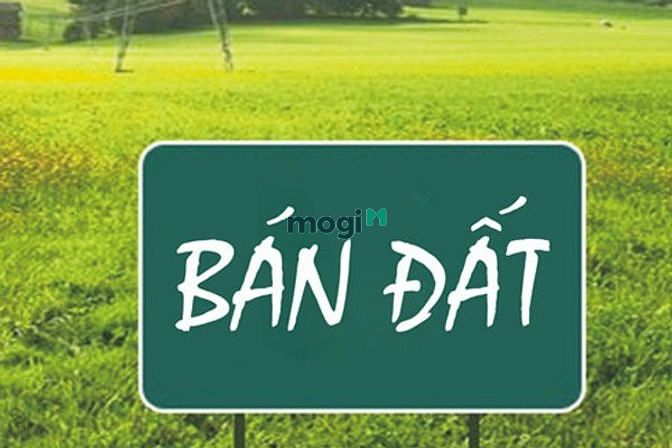 Hình ảnh Chính chủ bán đất nền (4x16) đường 10m KDC Tên Lửa Giá chỉ 6,5 tỷ