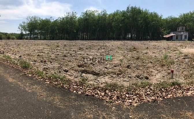 Hình ảnh Cần bán gấp sổ sẵn sang tên ngay