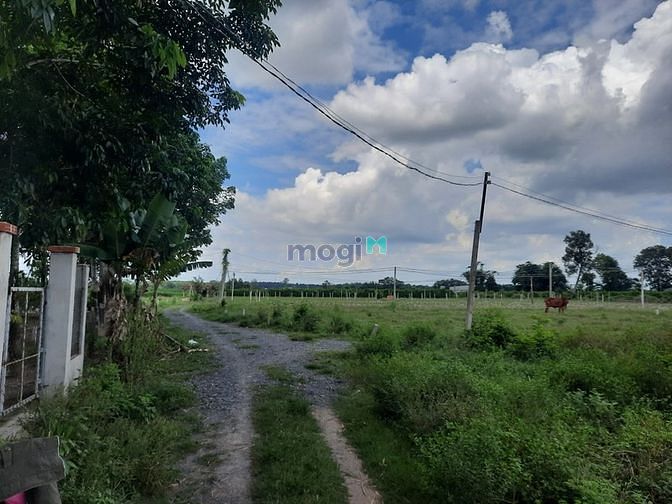 Hình ảnh Đất nền suối đá DMC view nui 5x50.50tc