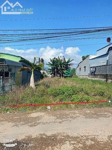 Hình ảnh Cậu Sáu Cần bán Gấp mảnh đất ở Tân Biên -TN 250m2