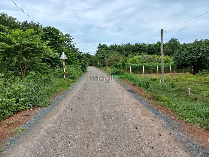 Hình ảnh Đất mặt tiền nhựa khu tân biên tân phong