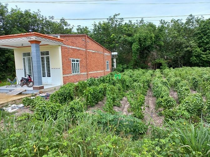Hình ảnh Đất mặt tiền nhựa khu tân biên tân phong
